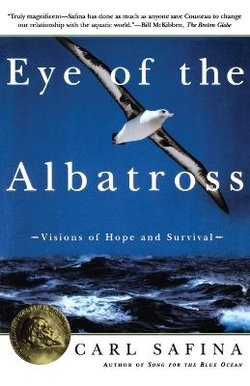 Eye of the Albatross