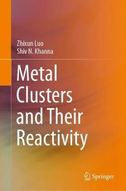 Metal Clusters and Their Reactivity