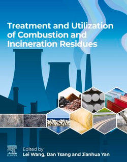 Treatment and Utilization of Combustion and Incineration Residues