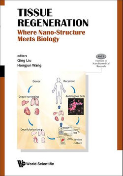 Tissue Regeneration: Where Nano-structure Meets Biology