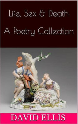 Life, Sex & Death - A Poetry Collection (Vol 1)