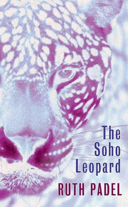 The Soho Leopard