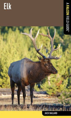 Elk