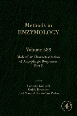 Molecular Characterization of Autophagic Responses Part B