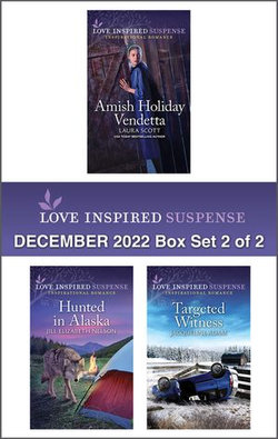 Love Inspired Suspense December 2022 - Box Set 2 of 2/Amish Holiday Vendetta/Hunted in Alaska/Targeted Witness