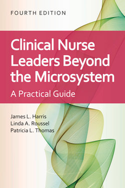 Clinical Nurse Leaders Beyond the Microsystem