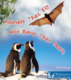 Animals That Fly and Birds That Don't