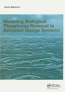 Modeling Biological Phosphorus Removal in Activated Sludge Systems