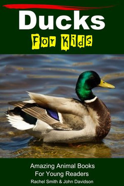 Ducks For Kids: Amazing Animal Books For Young Readers