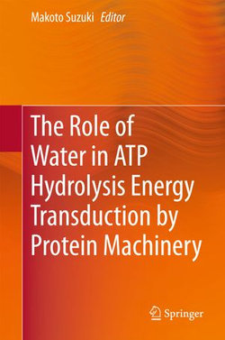 The Role of Water in ATP Hydrolysis Energy Transduction by Protein Machinery