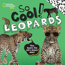 So Cool! Leopards