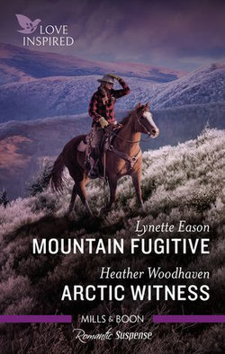 Mountain Fugitive/Arctic Witness