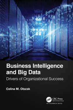 Business Intelligence and Big Data