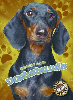 Dachshunds