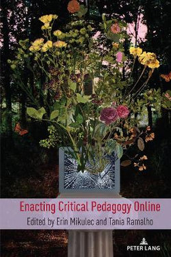 Enacting Critical Pedagogy Online