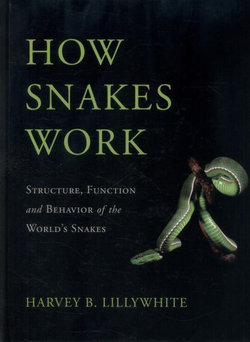 How Snakes Work