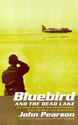 Bluebird & the Dead Lake