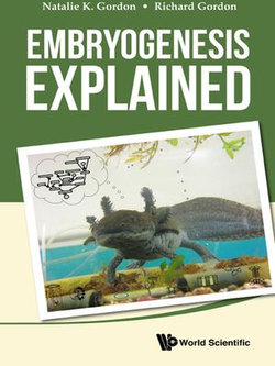 Embryogenesis Explained