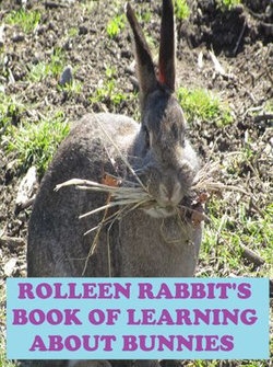 Rolleen Rabbit's Book of Learning About Bunnies