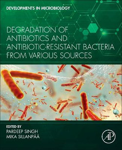 Degradation of Antibiotics and Antibiotic-Resistant Bacteria from Various Sources