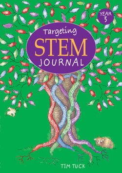 Targeting STEM Journal Year 3