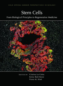 Stem Cells: from Biological Principles to Regenerative Medicine