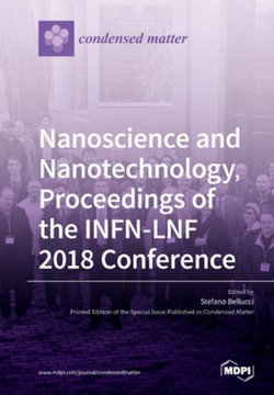 Nanoscience and Nanotechnology, Proceedings of the INFN-LNF 2018 Conference