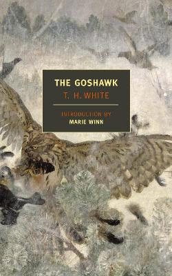 The Goshawk