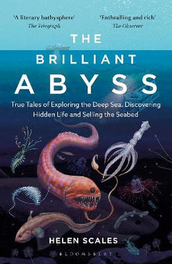 The Brilliant Abyss