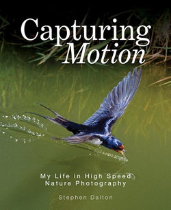 Capturing Motion