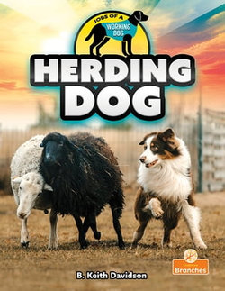 Herding Dog