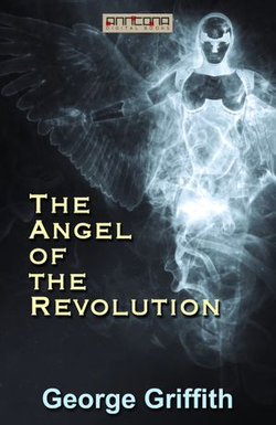 The Angel of the Revolution