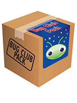 Bug Club Phonics Early Value Pack