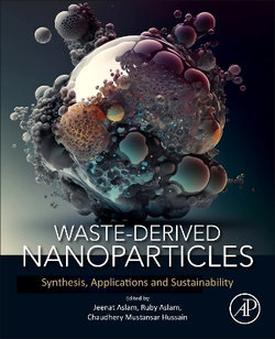 Waste-Derived Nanoparticles