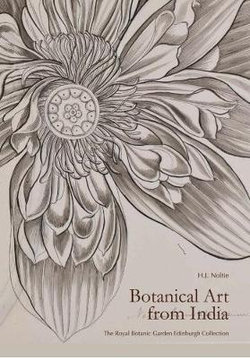 Botanical Art from India