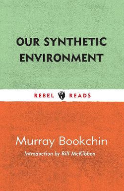 Our Synthetic Environment