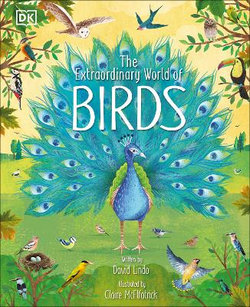 The Extraordinary World of Birds