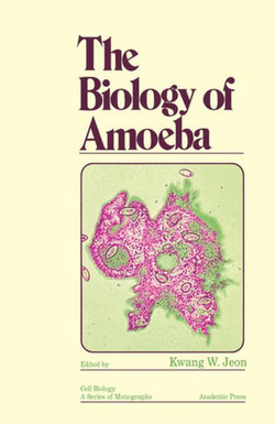 Biology of Amoeba