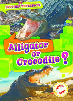 Alligator or Crocodile