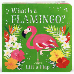 What Is a Flamingo?