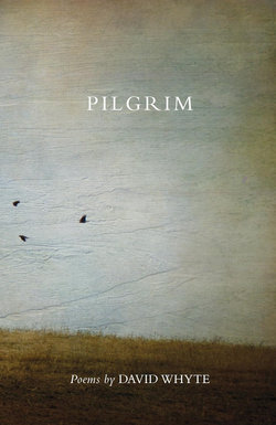 Pilgrim