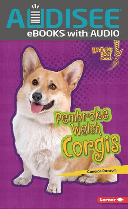 Pembroke Welsh Corgis