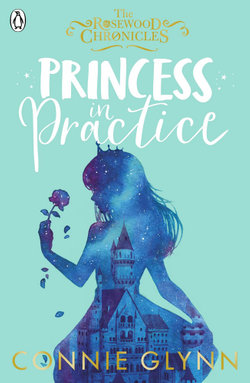 Princess in Practice