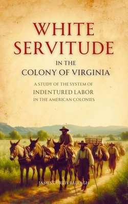 White Servitude in the Colony of Virginia