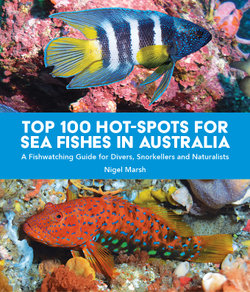 Top 100 Hot Spots for Sea Fishes in Australia