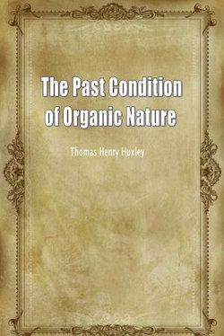 The Past Condition of Organic Nature