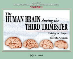 The Human Brain During the Third Trimester