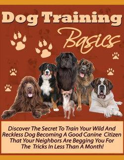 Dog Training Basics