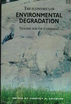 The Economics of Environmental Degradation