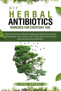 DIY Herbal Antibiotics Remedies for Everyday Use